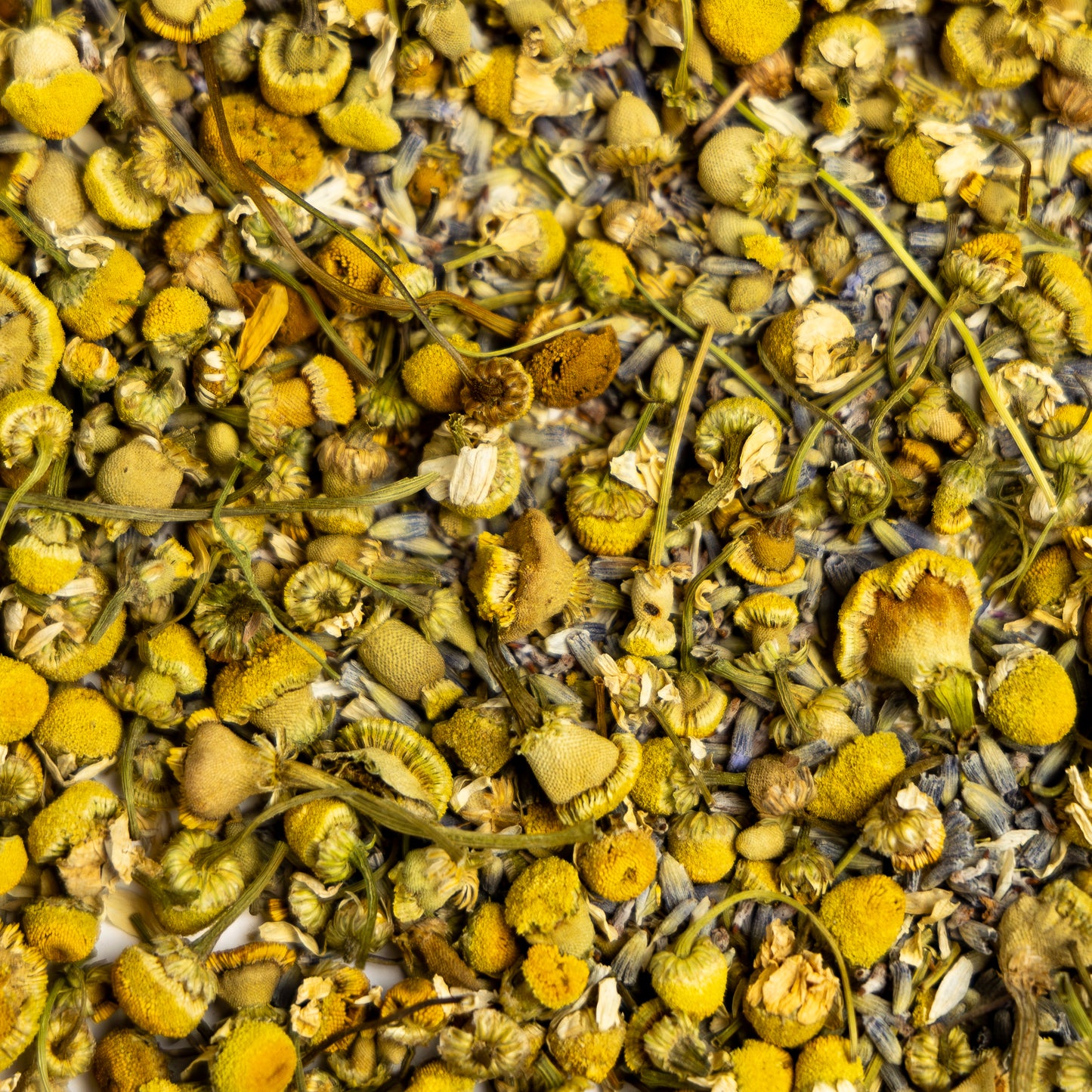 chamomile lavender loose leaf tea. caffeine free. night time tea, sleepy tea, close up view